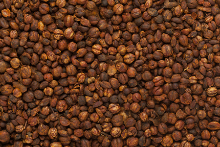 Organic Black oil plant or Climbing staff tree or Malkangani or Jyotishmati (Celastrus paniculatus) seeds. Macro closeup background texture.の写真素材