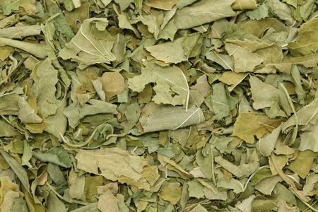 Organic dry passionflower (Passiflora incarnata) leaves. Macro close up background texture. Top view.の写真素材