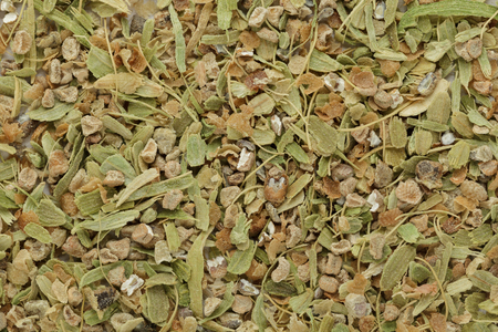 Organic dry True green cardamom (Elettaria cardamomum) big cut seeds. Macro close up background texture. Top view.の写真素材