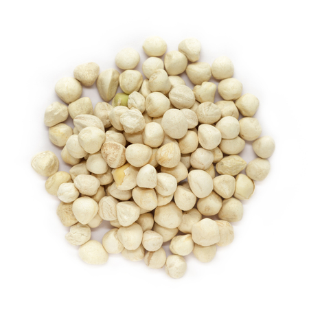 Organic kernel of Moringa (Moringa oleifera) seeds isolated on white background. Macro close up. Top view.の写真素材
