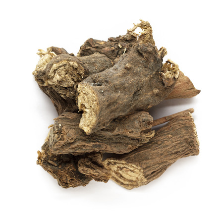 Organic dry barks of Indian Jalap or Nishodh (Operculina turpethum) isolated on white background. Macro close up. Top view.の写真素材