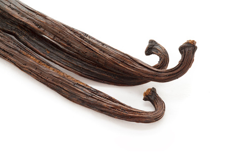 Organic dry sticks of Vanilla (Vanilla planifolia) isolated on white background. Macro close up. Top view.の写真素材