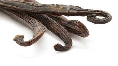 Organic dry sticks of Vanilla (Vanilla planifolia) isolated on white background. Macro close up. Front view.の写真素材