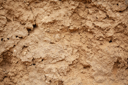 Abstract closeup background and texture of dry Soil inside a mine with holes made by insects.の写真素材