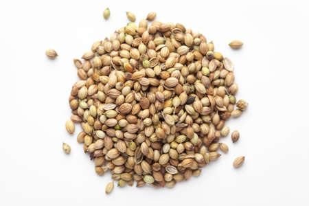 Macro close-up of Organic Coriander( Coriandrum sativum )  on white background. Pile of Indian...
