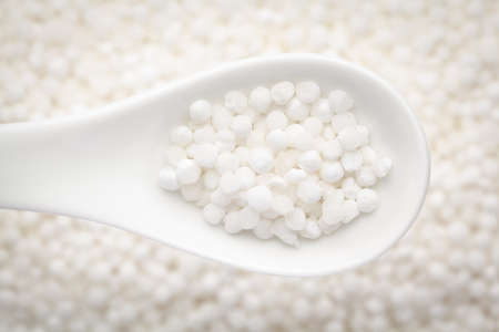 Macro Close up of organic white sago or sabudana big size on a white ceramic soup spoon in a blurred background. Top viewの写真素材