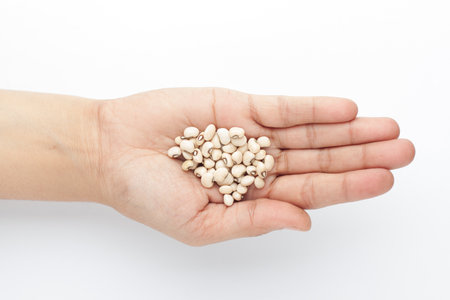 macro Close-up of Organic soybean,  (Glycine max ) or soya bean dal on the palm of a Female hand. Top viewの写真素材