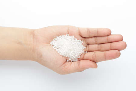 Macro Close up of organic white sago or sabudana small size on the palm of a Female hand. Top view