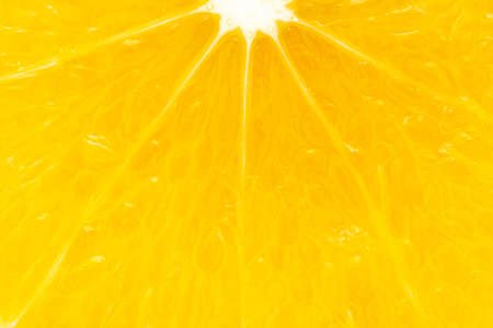 Extreme macro Close-up of Organic Indian Citrus fruit sweet limetta or mosambi (Citrus limetta) sliced part it show juice glands and seed, light passes through the slice,  it is an green and yellow in color, isolated over white backgroundの写真素材