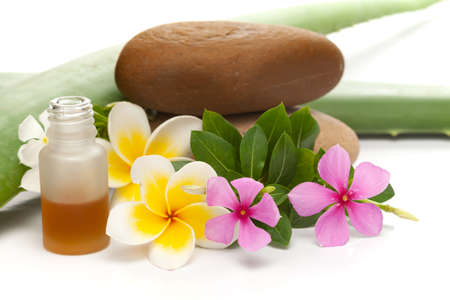 Close-up of Spa and Aromatherapy Concept (ayurved concept) , Frangipani Flowers, stone and alive vera and rose periwinkle isolated over whiteの写真素材
