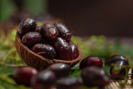 Close-Up of collection of Indian Ayurvedic medicinal fresh organic fruit jamun (Syzygium Cumini) (...