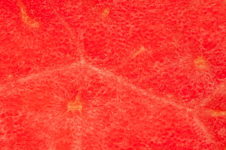 Extreme (micro / macro ) close-up of pink organic watermelon (citrullus Lanatus), showing water glands, natural fiber  and xylem  as wallpaper backgroundの写真素材
