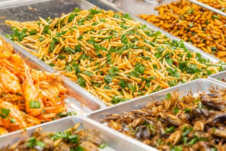 Close up of Fried insects - Bamboo Caterpillar (Omphisa fuscidentalis.) at street food market.の写真素材