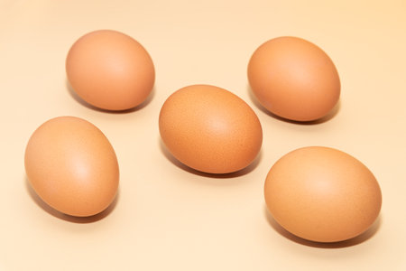 Five brown eggs on a simple background.の写真素材