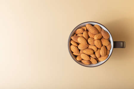 Brown almond in a coffee mug with free copy space.の写真素材