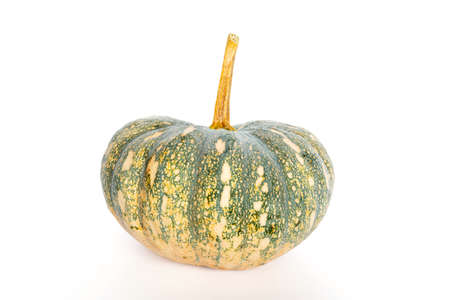 Asian pumpkin isolated on white backgroundの写真素材