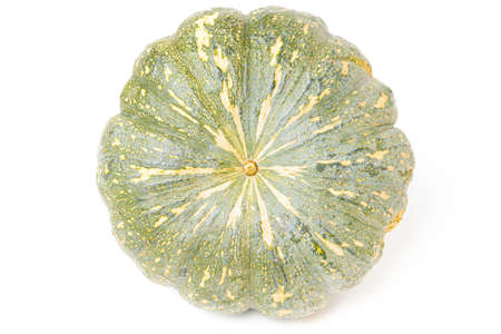 Isolated Bottom View of Green Asian Pumpkin on White Background.の写真素材
