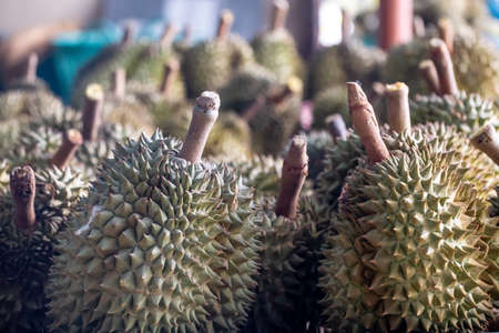 Scenery background of The tropical Thai fruit in Thai fruit market (durain)の写真素材