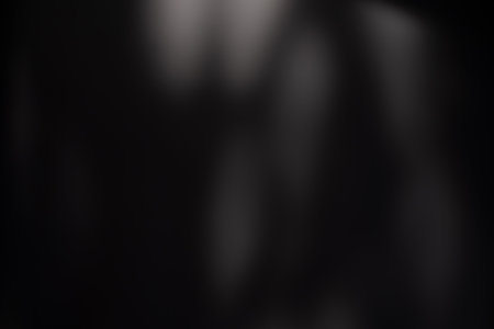 Dark black and gray blurred gradient and leaf shadow background has a little abstract light.