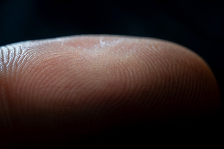 Close up of a human finger skin on black background, Fingerprint texture of finger skin photography, Macro photo of the lines of a fingerprint or touch digital, Detail of thumbprint digital compositeの写真素材