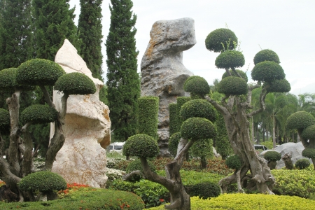 Gardens  in  northeast  of  thailandの写真素材