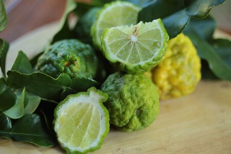 Bergamot herb in Thailand  close upの写真素材