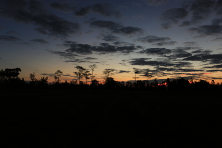 Morning sun over the rice fields in northeastern Thailand.の写真素材