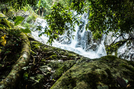 Beautiful small waterfall in rain forest at Maekampong, Chiang Mai, Thailand.の写真素材