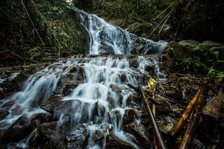 Beautiful small waterfall in rain forest at Maekampong, Chiang Mai, Thailand.の写真素材