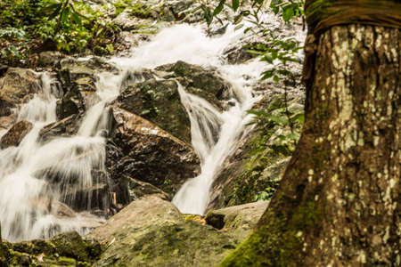 Beautiful small waterfall in rain forest at Maekampong, Chiang Mai, Thailand.の写真素材