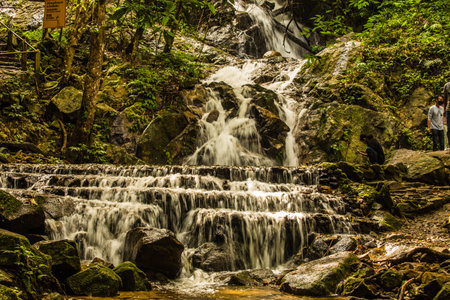 Beautiful small waterfall in rain forest at Maekampong, Chiang Mai, Thailand.の写真素材