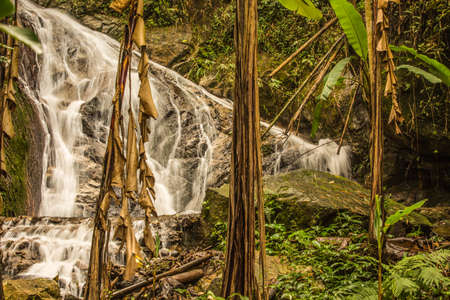Beautiful small waterfall in rain forest at Maekampong, Chiang Mai, Thailand.の写真素材