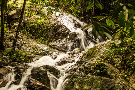Beautiful small waterfall in rain forest at Maekampong, Chiang Mai, Thailand.の写真素材