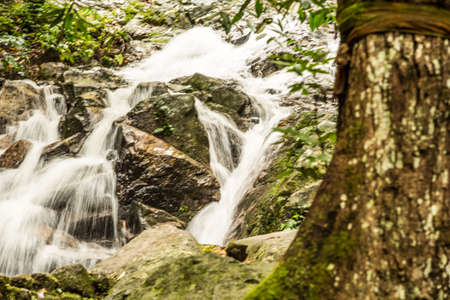 Beautiful small waterfall in rain forest at Maekampong, Chiang Mai, Thailand.