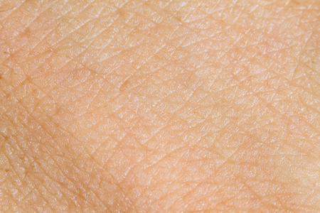 Background of the human skin. macroの写真素材