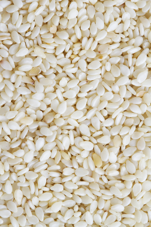 Sesame seed texture backgroundの写真素材