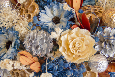 dry flowerの写真素材