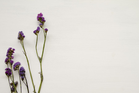 statice purple flower on wooden floor with white background.の写真素材