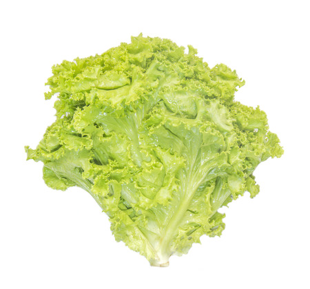 Salad leaf. Lettuce isolated on white backgroundの写真素材