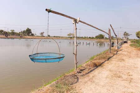 Basket of shrimp pond feeding basket