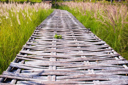 Walkway woven with bamboo on the meadow.
