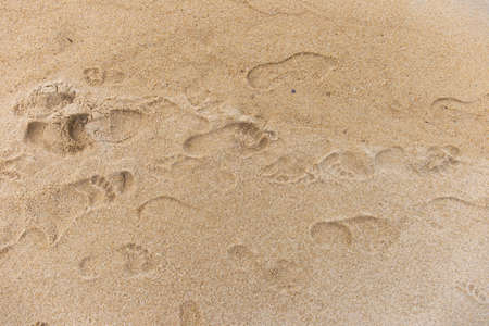 Footprints of people walking on the sand