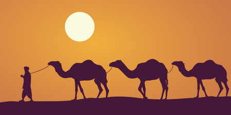 Desert, caravan of camels. Vector illustration.のイラスト素材