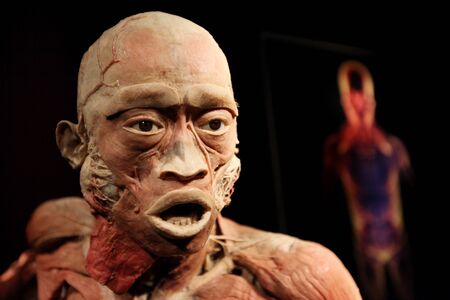 KRAKOW, POLAND - MARCH 11, 2013: The Human Body Exhibition  the exhibition of human bodies in old...