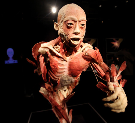 KRAKOW, POLAND - MARCH 11, 2013: The Human Body Exhibition  the exhibition of human bodies in old industrial halls Miraculum at the street  Zablocie. Cracow. Polandのeditorial素材