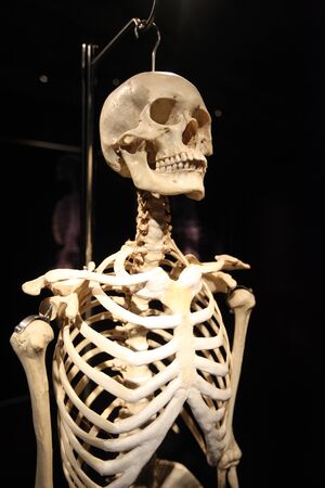 KRAKOW, POLAND - MARCH 11, 2013: The Human Body Exhibition  the exhibition of human bodies in old industrial halls Miraculum at the street  Zablocie. Cracow. Polandのeditorial素材