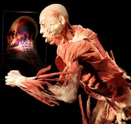 KRAKOW, POLAND - MARCH 11, 2013: The Human Body Exhibition  the exhibition of human bodies in old industrial halls Miraculum at the street  Zablocie. Cracow. Polandのeditorial素材