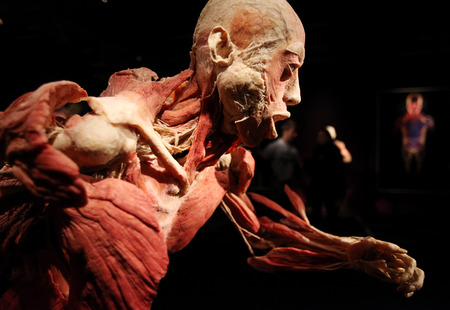 KRAKOW, POLAND - MARCH 11, 2013: The Human Body Exhibition  the exhibition of human bodies in old industrial halls Miraculum at the street  Zablocie. Cracow. Polandのeditorial素材