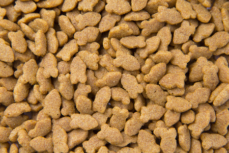 Dried cat food background