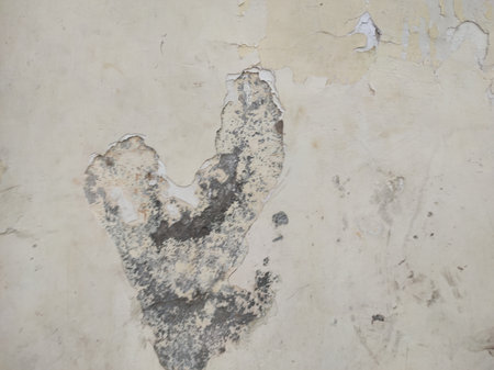 Grunge cement wall texture background,old cement wall texture backgroundの写真素材